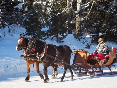 Sleigh Ride (Green Taxi)